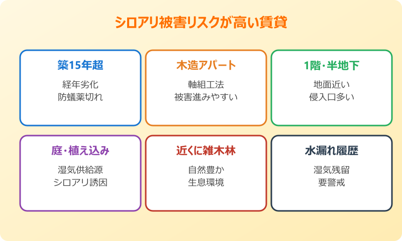 シロアリの兆候を賃貸で確認するために知っておくこと