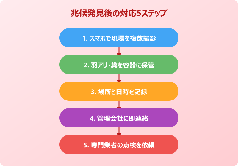 兆候を見つけたときの賃貸での対応手順
