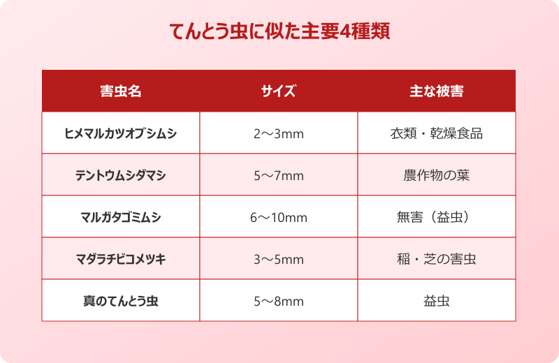 てんとう虫に似た 害虫 種類 見分け方