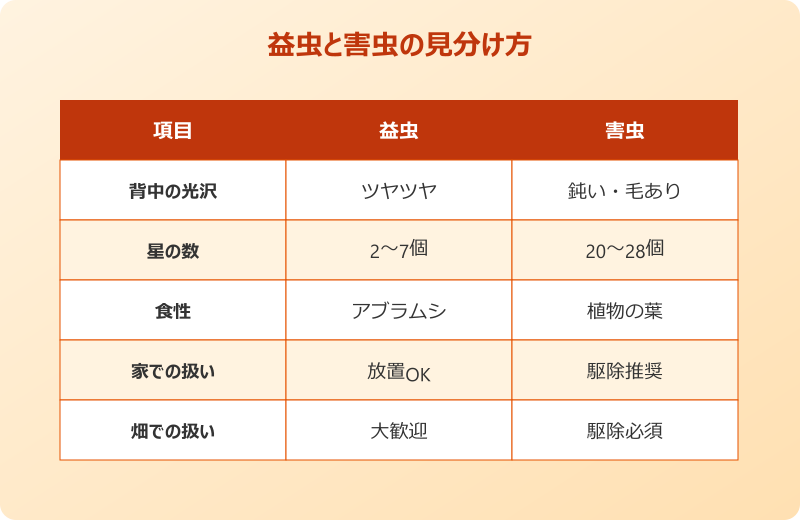 テントウムシダマシ 特徴 農作物