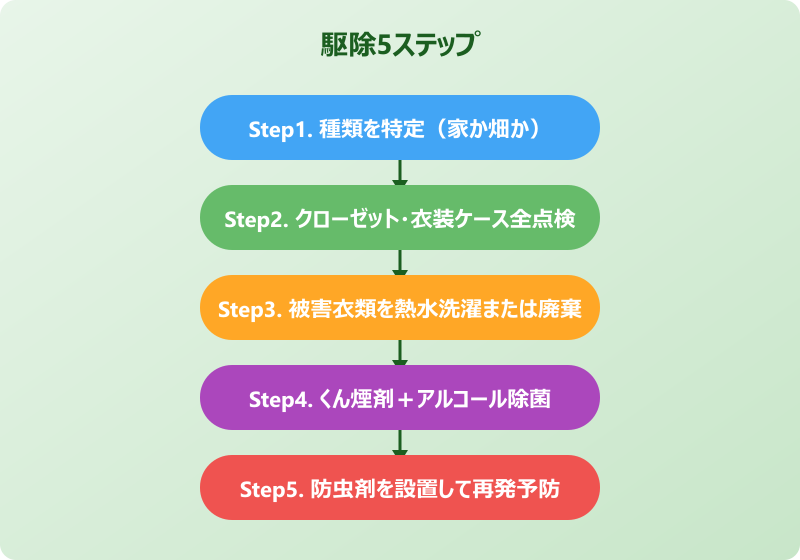 てんとう虫に似た 害虫 駆除方法