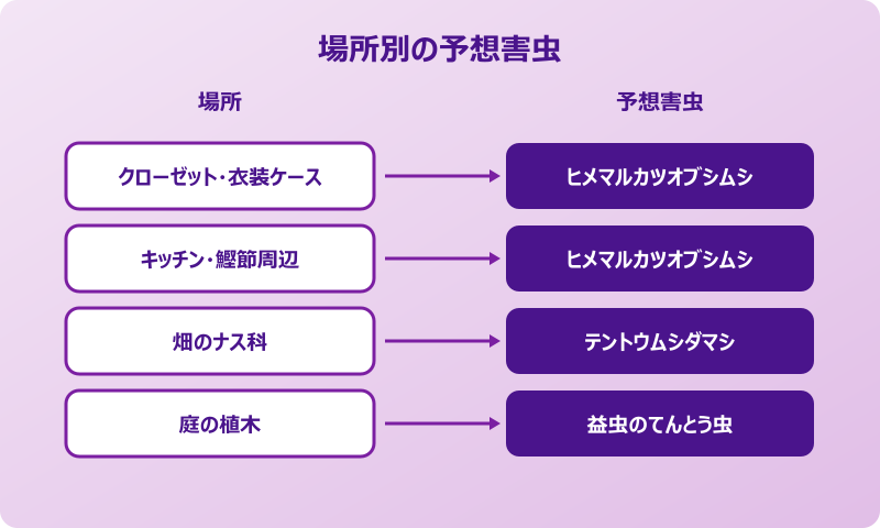 てんとう虫に似た 害虫 対策完成形