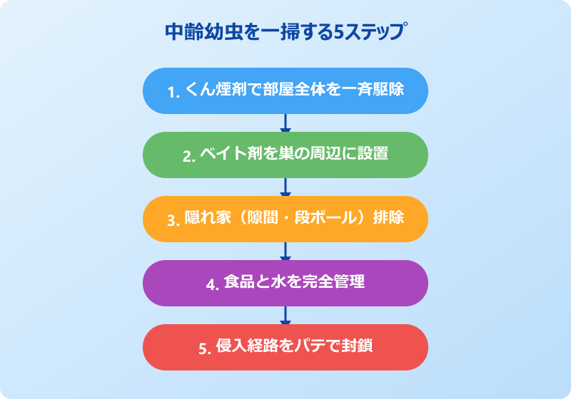 クロゴキブリ 中齢幼虫 駆除手順