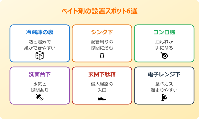 クロゴキブリ 中齢幼虫 ベイト剤の設置