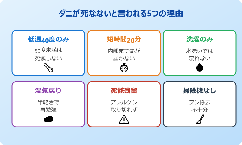 コインランドリー 乾燥機 ダニ 死なない 5つの理由