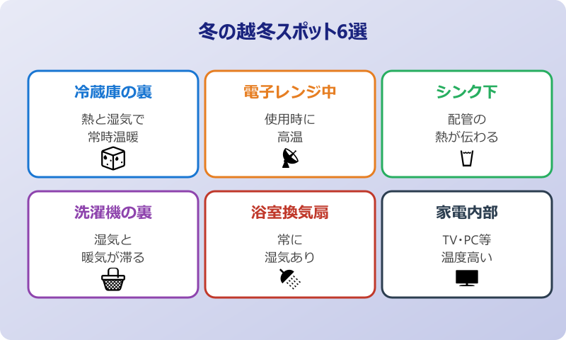 ゴキブリ 冬はどうしてる 生態と越冬場所