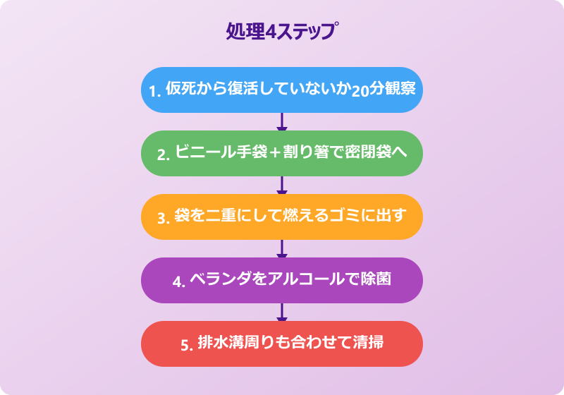 ゴキブリ ベランダで死んでる 処理手順