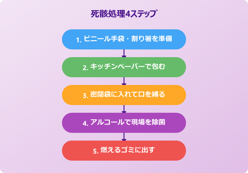 ゴキブリ 触らずに処理 死骸の片付け手順