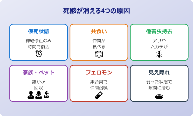 ゴキブリ死骸 消えた 4つの原因