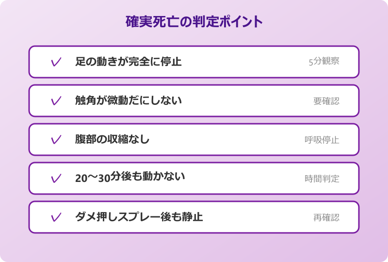 ゴキブリ死骸 消えた 密閉袋で処理