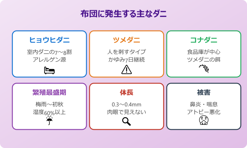 布団 ダニ 駆除 布団にダニが集まる原因とダニの種類
