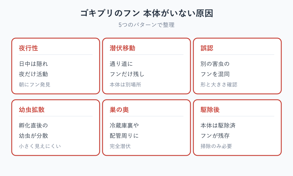 ゴキブリのフン 本体がいない 5つの原因