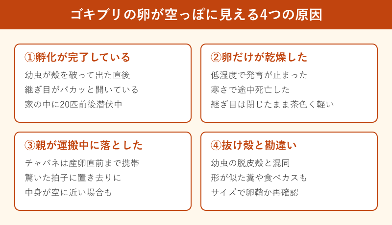 ゴキブリ 卵 空っぽに見える4つの原因