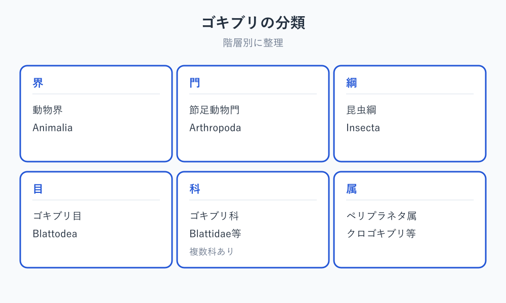 ゴキブリは何類 分類学的位置の図解