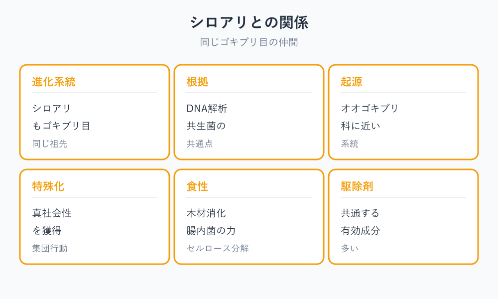ゴキブリは何類 シロアリとの分類関係