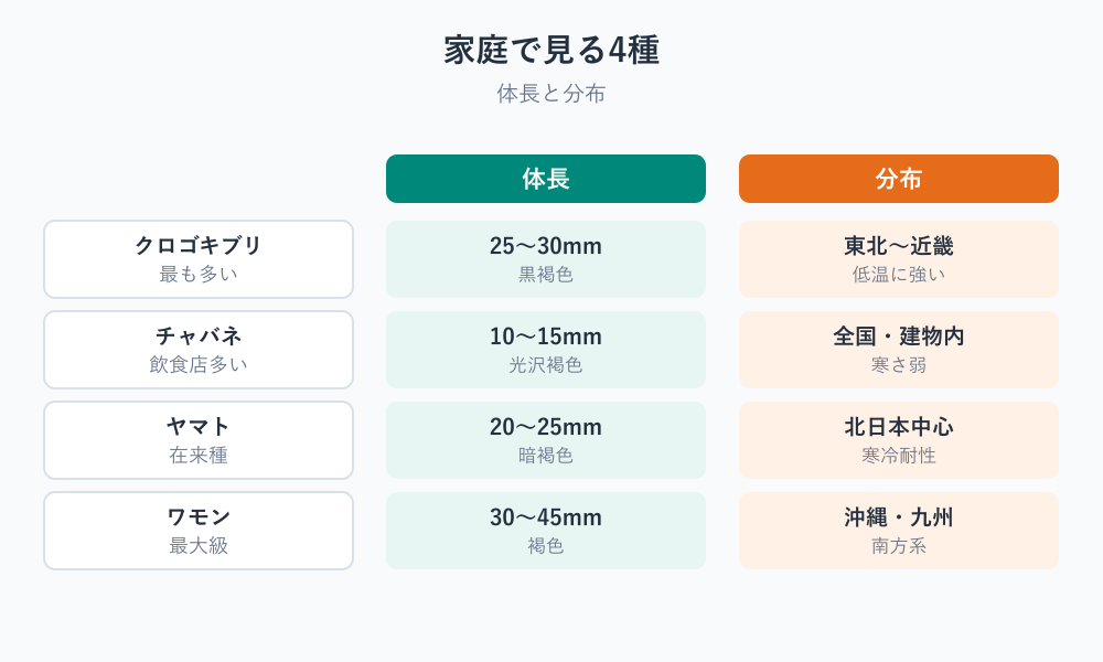 ゴキブリは何類 種類別の特徴比較