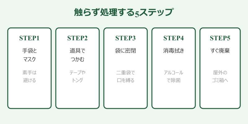 ゴキブリ 死骸処理 触らず処理する5ステップ