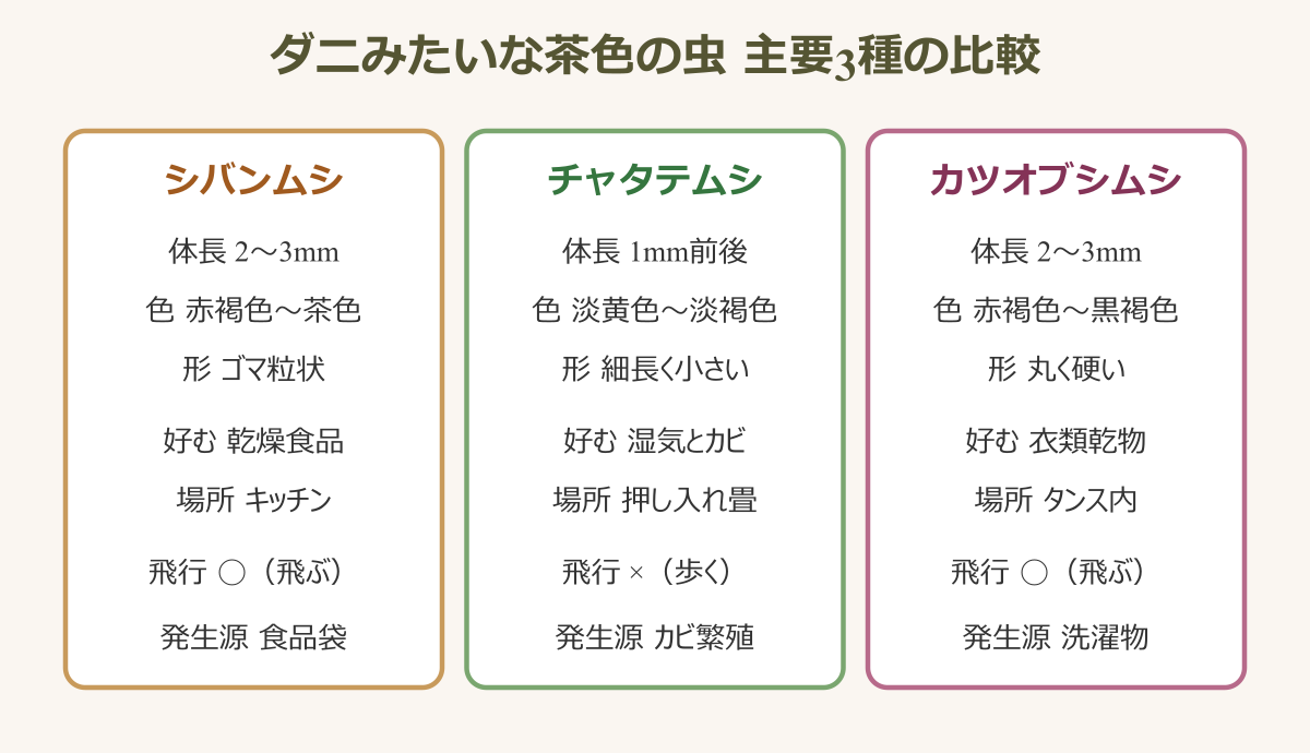 ダニみたいな茶色の虫 主要3種の比較