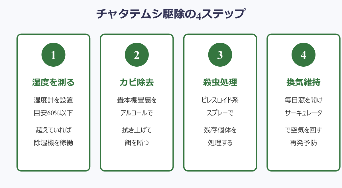 ダニみたいな茶色の虫 チャタテムシ駆除の4ステップ
