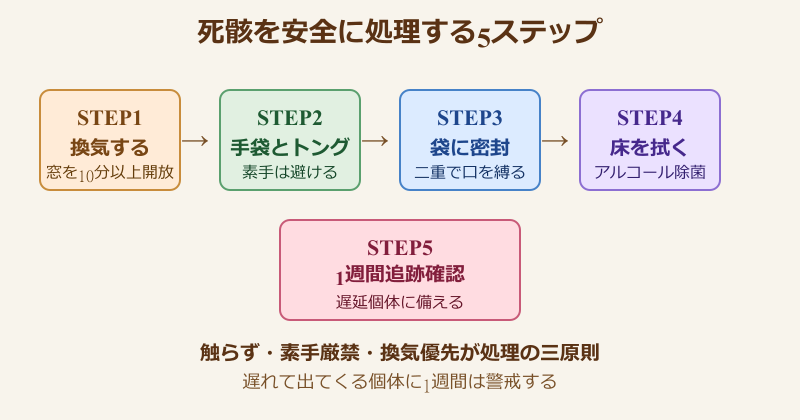 ゴキブリ ムエンダー 死骸 出てくる時の処理5ステップ