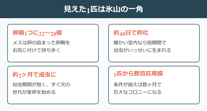 チャバネゴキブリ 一匹だけでも危険な理由