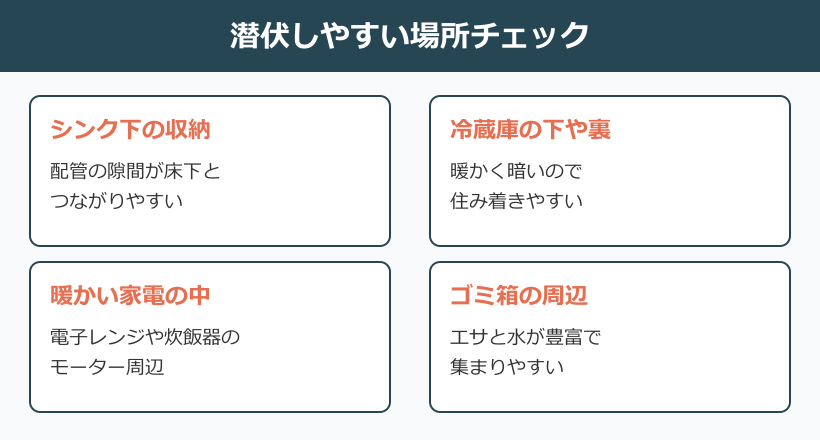 チャバネゴキブリ 一匹だけ 潜伏場所のチェック