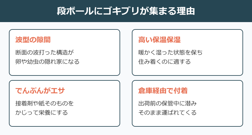 段ボール ゴキブリ 確率 集まる理由