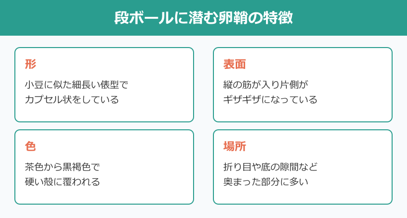 段ボール ゴキブリ 確率 卵鞘の見分け方