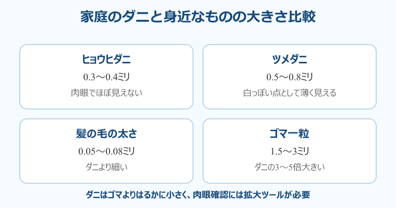 ダニ取りシート ダニ 見える 大きさ比較
