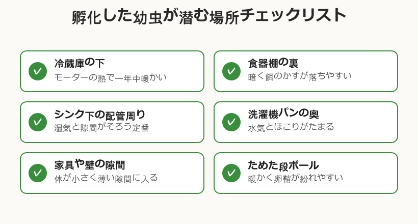 ゴキブリ 卵 孵化 後に幼虫が潜む場所チェックリスト