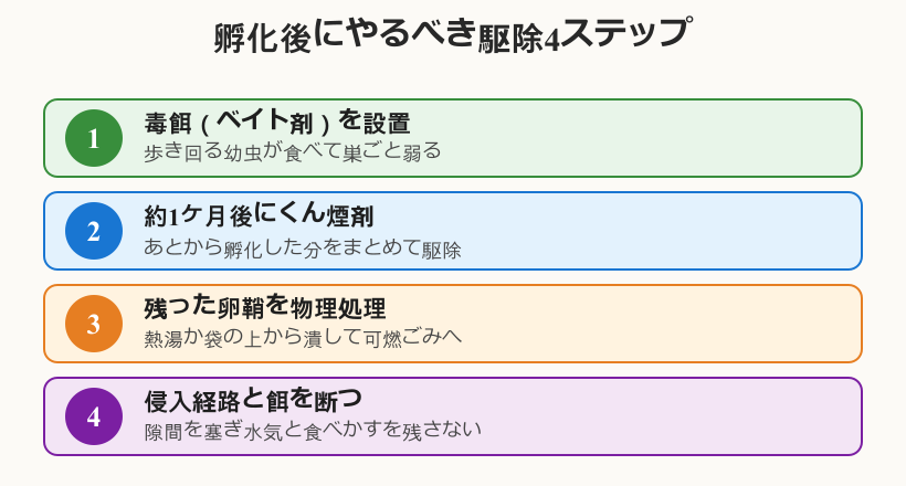 ゴキブリ 卵 孵化 後の駆除4ステップ
