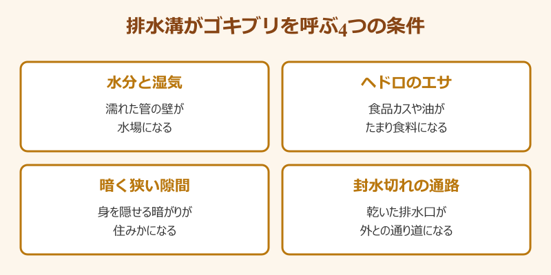 排水溝のゴキブリを呼ぶ4つの条件