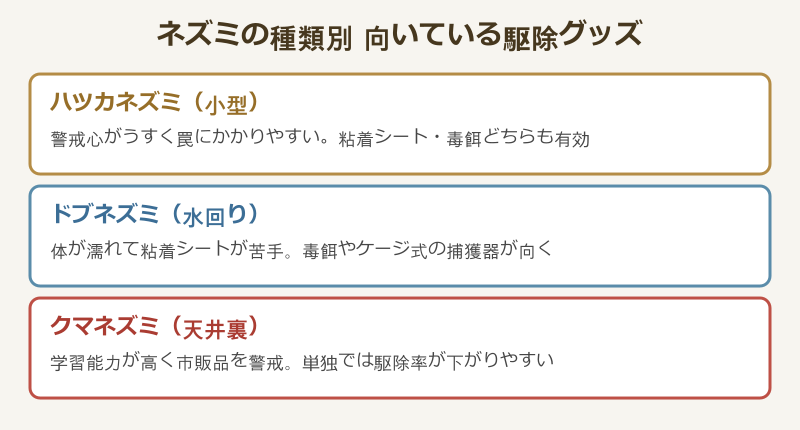 ネズミ駆除 ドラッグストア品をネズミの種類で選ぶ