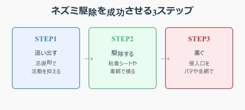 ネズミ駆除を成功させる3ステップ