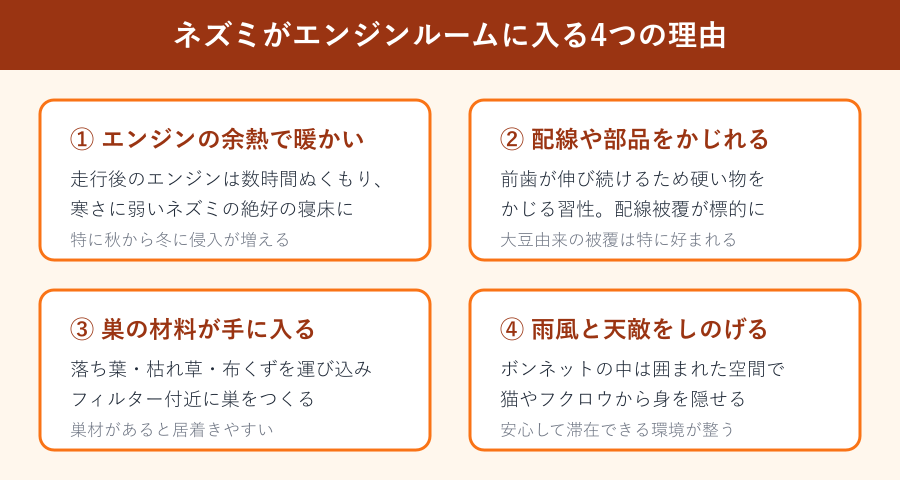 ネズミがエンジンルームに入る4つの理由の図解