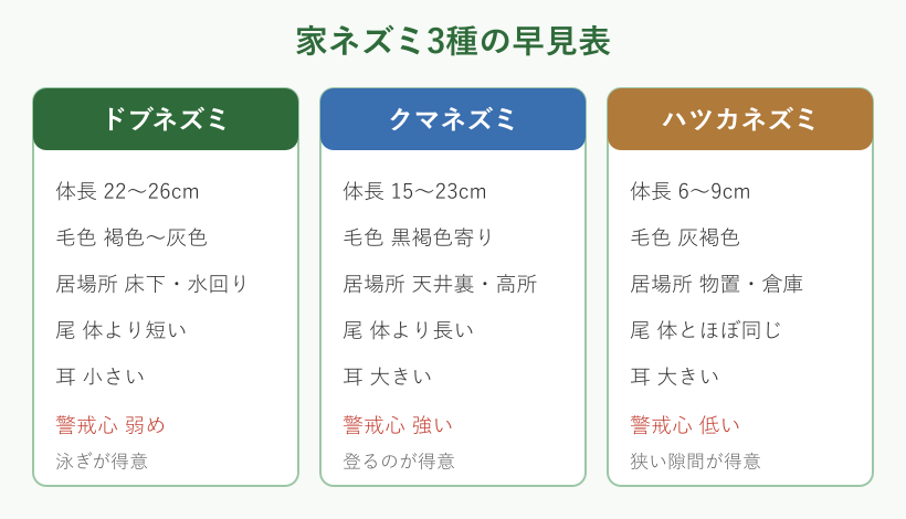 家ネズミ3種の大きさと居場所の比較表