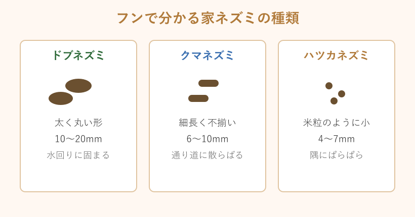 ネズミ3種のフンの形と大きさの違い
