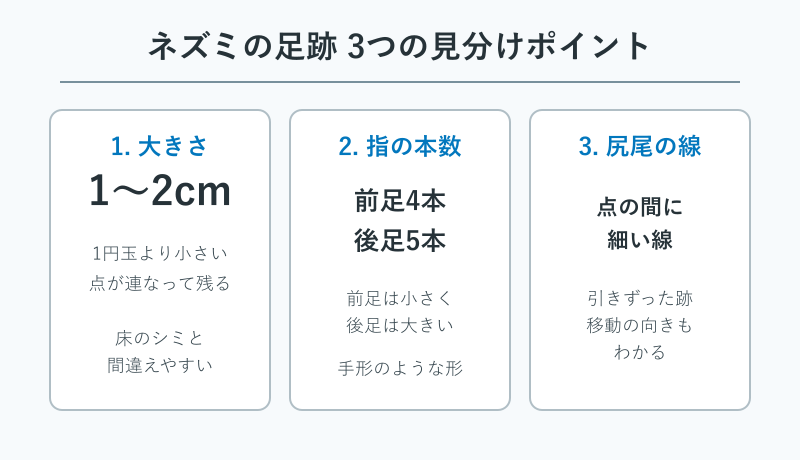ネズミの足跡の大きさと指の形の図解