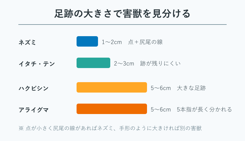害獣別の足跡サイズ比較イラスト