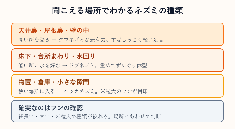 聞こえる場所ごとに多いネズミの種類を整理した図