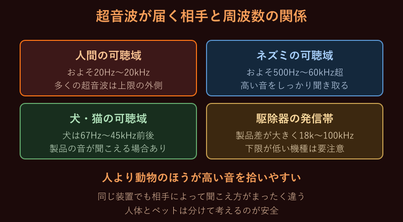 超音波の周波数と人やネズミの可聴域マップ