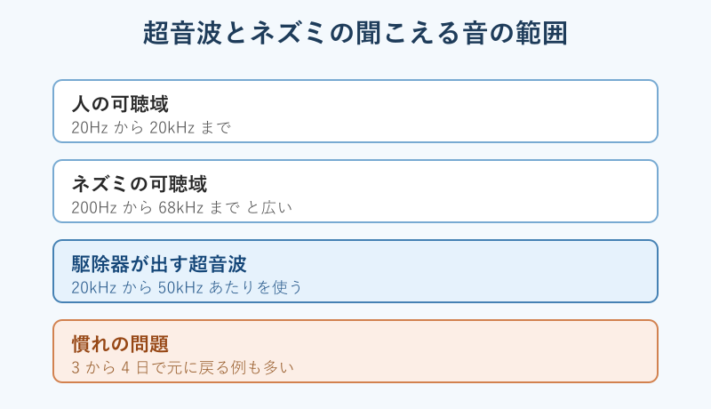 人とネズミの可聴域と超音波帯の比較図
