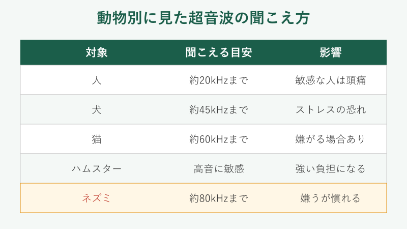 動物別に見た超音波の聞こえ方の表