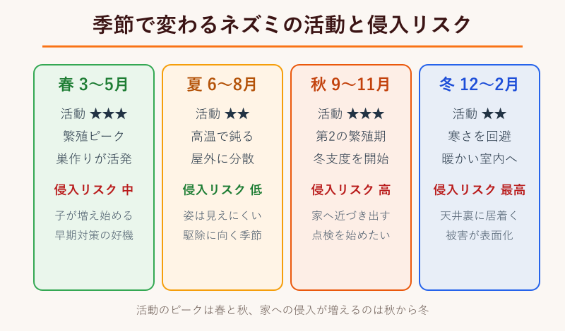 季節ごとのネズミの活動と侵入リスクの比較表