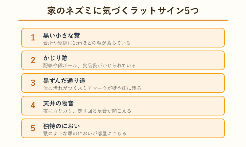 ネズミのラットサイン5つのチェックリスト