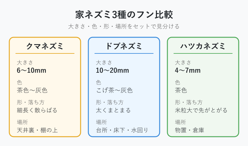 家ネズミ3種のフン比較表