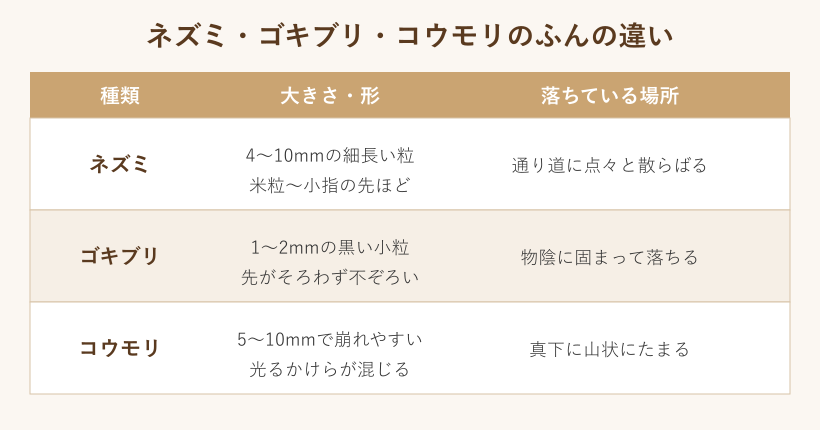 ネズミとゴキブリとコウモリのふんの違いの表