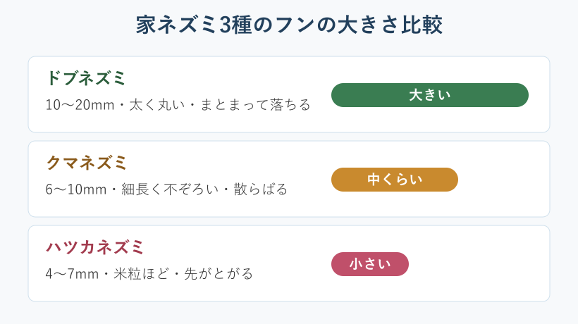 家ネズミ3種のフンの大きさ比較図