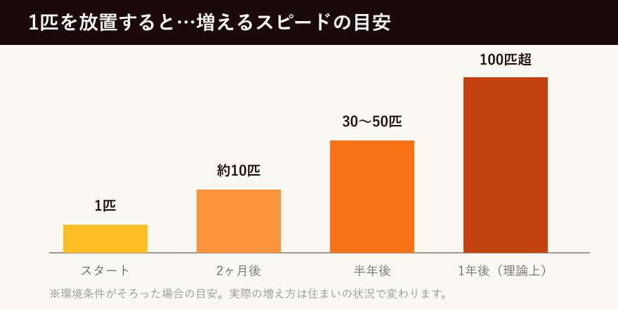 ネズミが増えるスピードの目安を示した図