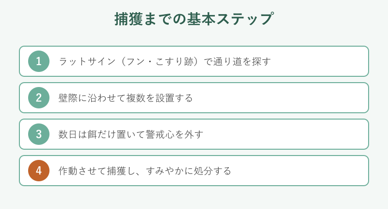 捕獲までの基本ステップ図